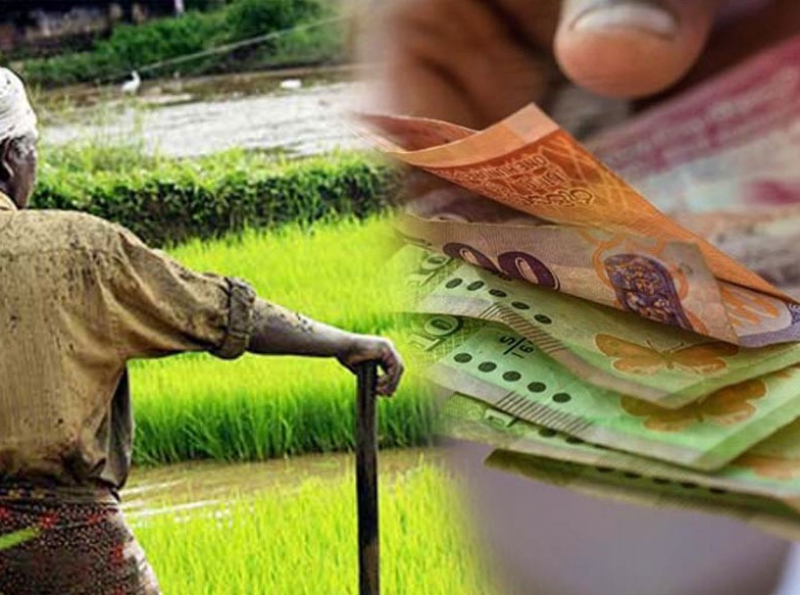 2024/25 பெரும்போகத்தின் பயிர் பாதிப்புகளுக்கான கொடுப்பனவு நடவடிக்கைகள் நிறைவடைவது தொடர்பாக கமத்தொழில் மற்றும் கமநலக் காப்புறுதிச் சபை விடுத்துள்ள அறிவித்தல்